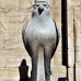 temple_edfu_lux_v_0169_egy2850.jpg